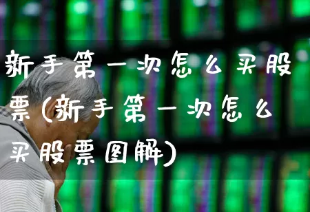 新手第一次怎么买股票(新手第一次怎么买股票图解)_https://www.gfdzclz.com_上交所_第1张