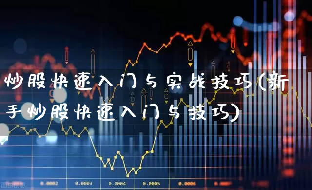 炒股快速入门与实战技巧(新手炒股快速入门与技巧)_https://www.gfdzclz.com_创业板_第1张