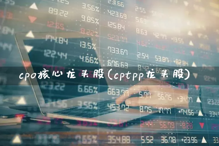 cpo核心龙头股(cptpp龙头股)_https://www.gfdzclz.com_上交所_第1张