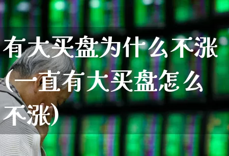 有大买盘为什么不涨(一直有大买盘怎么不涨)_https://www.gfdzclz.com_深交所_第1张