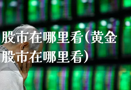股市在哪里看(黄金股市在哪里看)_https://www.gfdzclz.com_北交所_第1张