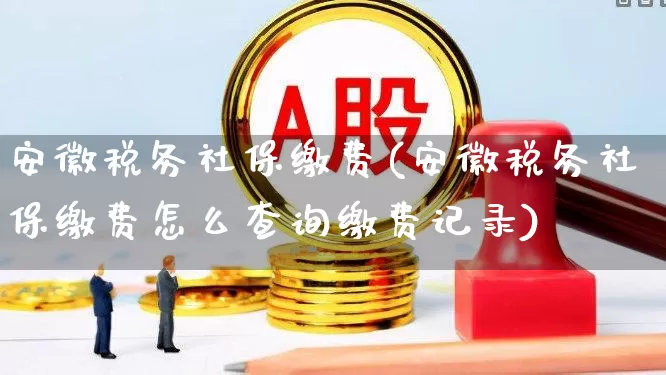 安徽税务社保缴费(安徽税务社保缴费怎么查询缴费记录)_https://www.gfdzclz.com_深交所_第1张