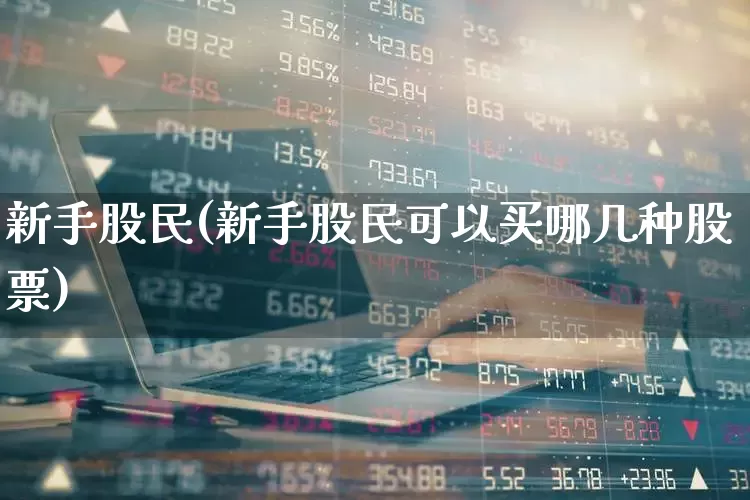 新手股民(新手股民可以买哪几种股票)_https://www.gfdzclz.com_深交所_第1张