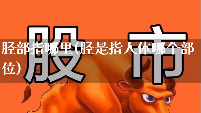 胫部指哪里(胫是指人体哪个部位)_https://www.gfdzclz.com_创业板_第1张