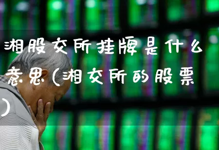 湘股交所挂牌是什么意思(湘交所的股票)_https://www.gfdzclz.com_创业板_第1张