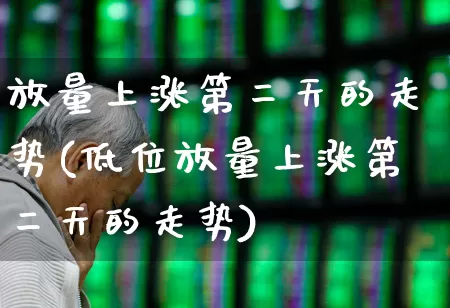 放量上涨第二天的走势(低位放量上涨第二天的走势)_https://www.gfdzclz.com_上交所_第1张