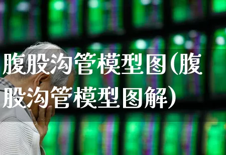 腹股沟管模型图(腹股沟管模型图解)_https://www.gfdzclz.com_创业板_第1张