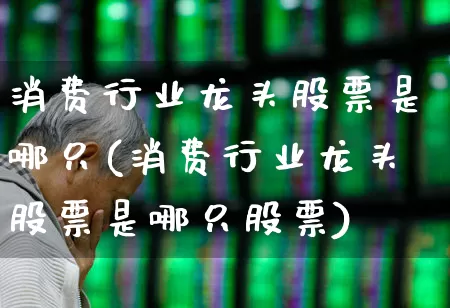 消费行业龙头股票是哪只(消费行业龙头股票是哪只股票)_https://www.gfdzclz.com_科创板_第1张
