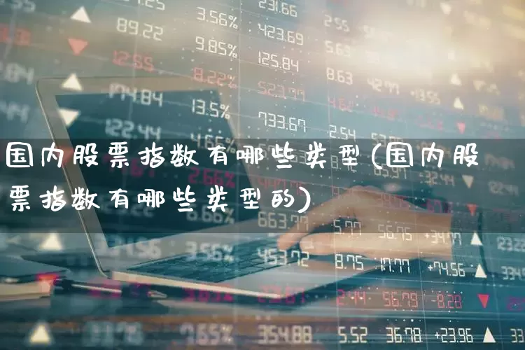 国内股票指数有哪些类型(国内股票指数有哪些类型的)_https://www.gfdzclz.com_科创板_第1张