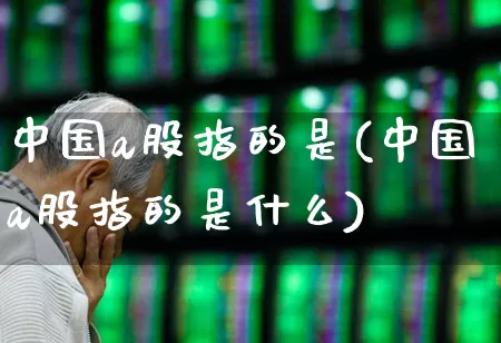 中国a股指的是(中国a股指的是什么)_https://www.gfdzclz.com_北交所_第1张