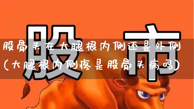 股骨头在大腿根内侧还是外侧(大腿根内侧疼是股骨头病吗)_https://www.gfdzclz.com_科创板_第1张