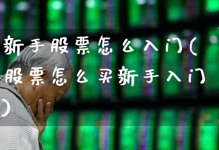 新手股票怎么入门(股票怎么买新手入门)_https://www.gfdzclz.com_创业板_第1张