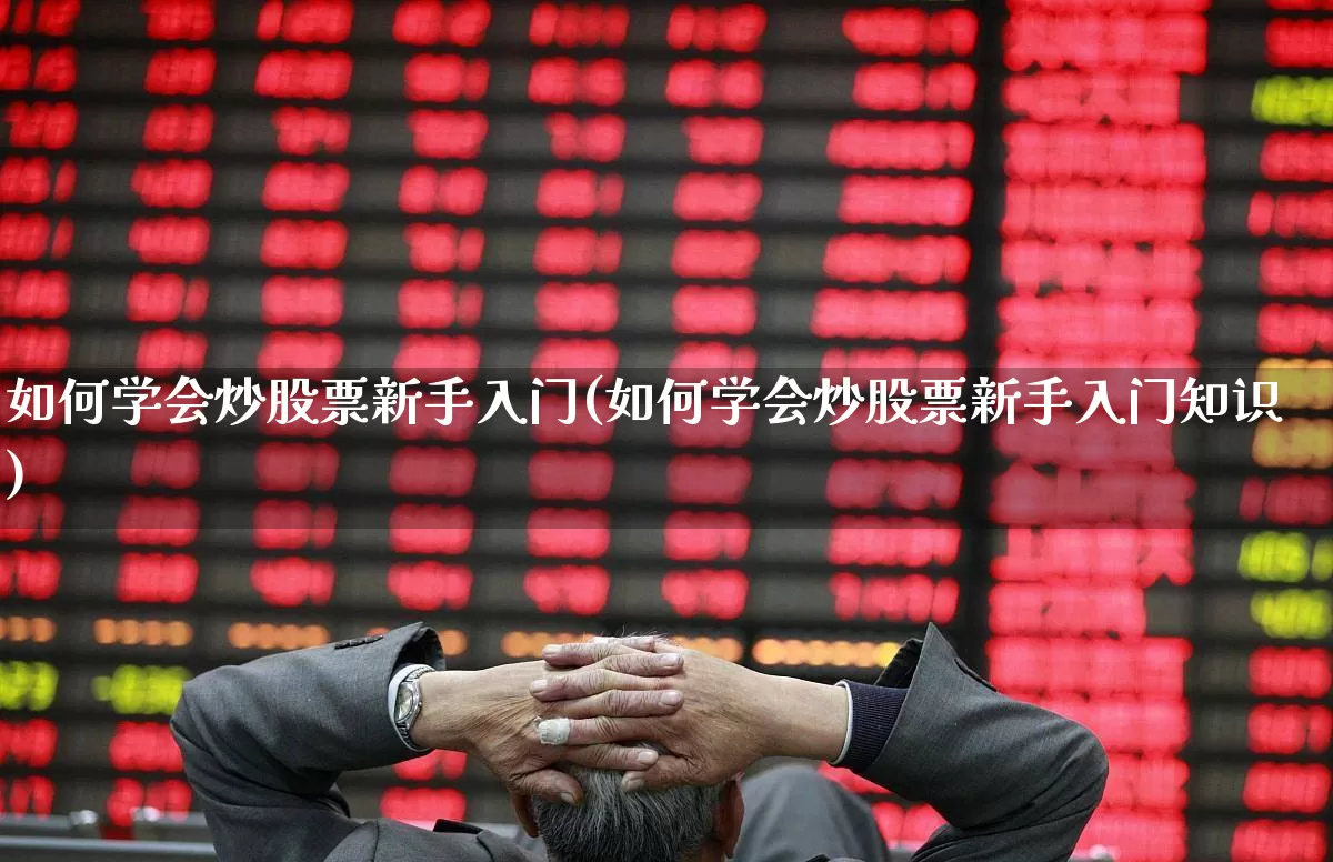 如何学会炒股票新手入门(如何学会炒股票新手入门知识)_https://www.gfdzclz.com_北交所_第1张