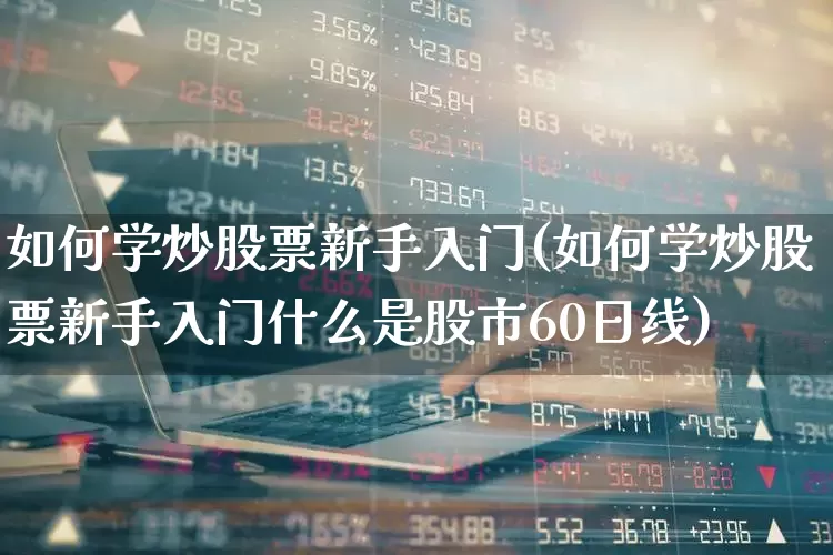 如何学炒股票新手入门(如何学炒股票新手入门什么是股市60日线)_https://www.gfdzclz.com_科创板_第1张