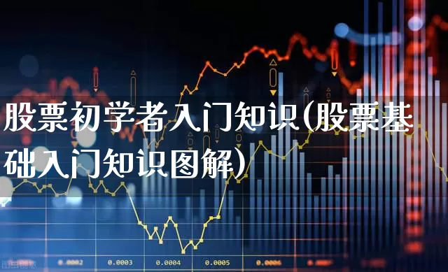 股票初学者入门知识(股票基础入门知识图解)_https://www.gfdzclz.com_科创板_第1张