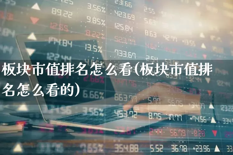 板块市值排名怎么看(板块市值排名怎么看的)_https://www.gfdzclz.com_北交所_第1张
