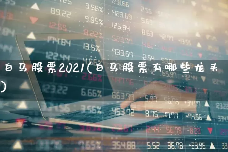 白马股票2021(白马股票有哪些龙头)_https://www.gfdzclz.com_创业板_第1张