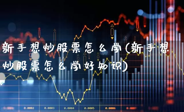 新手想炒股票怎么学(新手想炒股票怎么学好知识)_https://www.gfdzclz.com_深交所_第1张