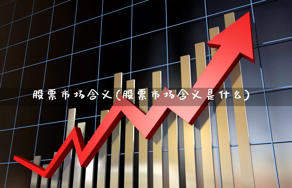 股票市场含义(股票市场含义是什么)_https://www.gfdzclz.com_科创板_第1张