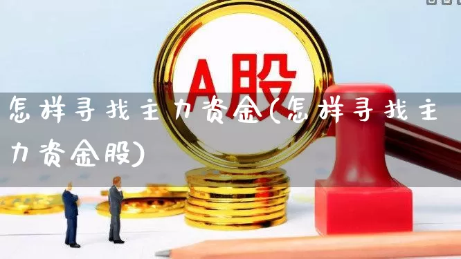 怎样寻找主力资金(怎样寻找主力资金股)_https://www.gfdzclz.com_北交所_第1张