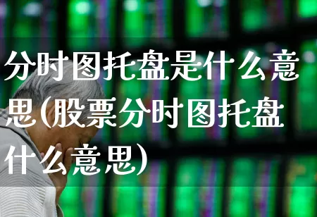 分时图托盘是什么意思(股票分时图托盘什么意思)_https://www.gfdzclz.com_创业板_第1张