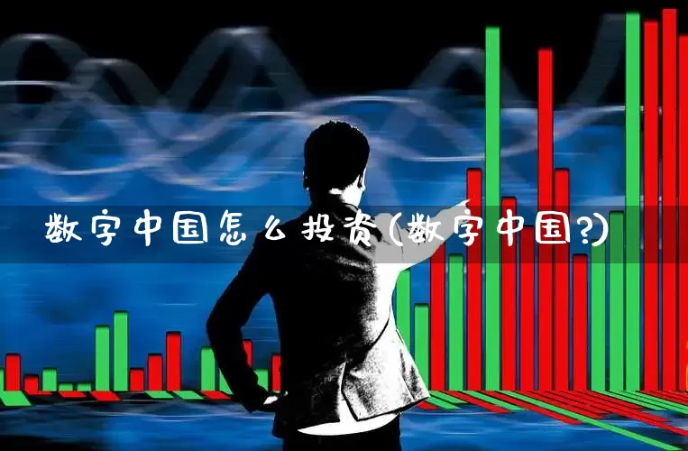 数字中国怎么投资(数字中国?)_https://www.gfdzclz.com_科创板_第1张
