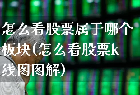 怎么看股票属于哪个板块(怎么看股票k线图图解)_https://www.gfdzclz.com_上交所_第1张