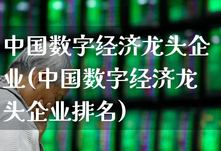 中国数字经济龙头企业(中国数字经济龙头企业排名)_https://www.gfdzclz.com_科创板_第1张