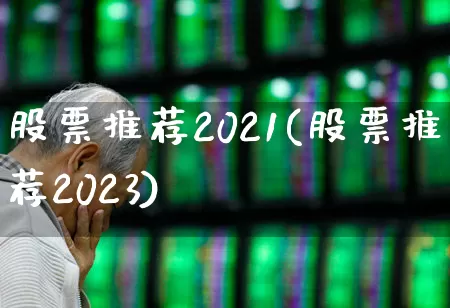 股票推荐2021(股票推荐2023)_https://www.gfdzclz.com_创业板_第1张