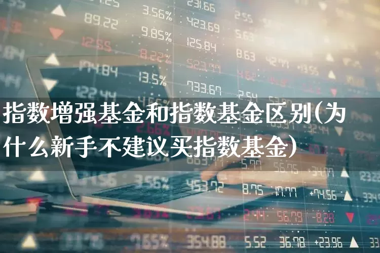 指数增强基金和指数基金区别(为什么新手不建议买指数基金)_https://www.gfdzclz.com_科创板_第1张