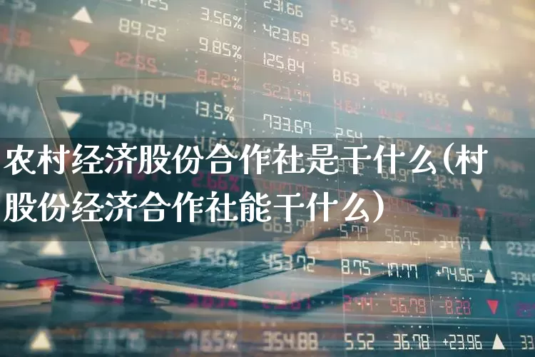 农村经济股份合作社是干什么(村股份经济合作社能干什么)_https://www.gfdzclz.com_上交所_第1张