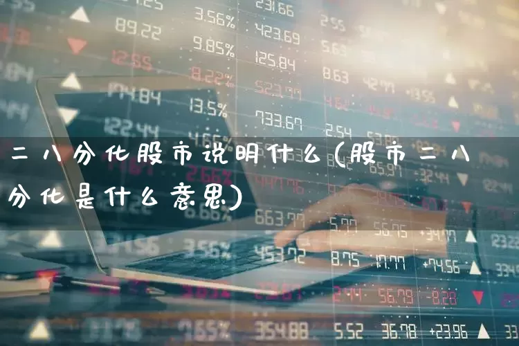 二八分化股市说明什么(股市二八分化是什么意思)_https://www.gfdzclz.com_科创板_第1张