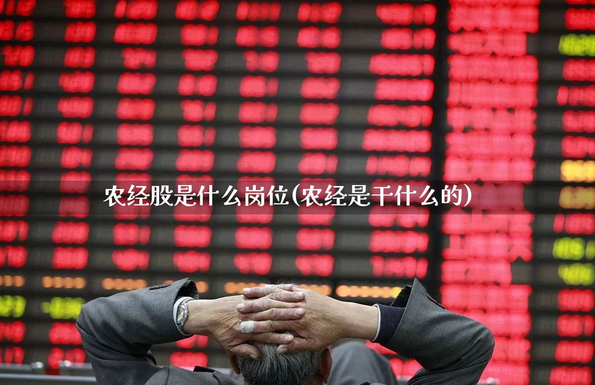 农经股是什么岗位(农经是干什么的)_https://www.gfdzclz.com_北交所_第1张