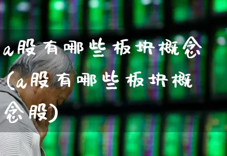a股有哪些板块概念(a股有哪些板块概念股)_https://www.gfdzclz.com_上交所_第1张