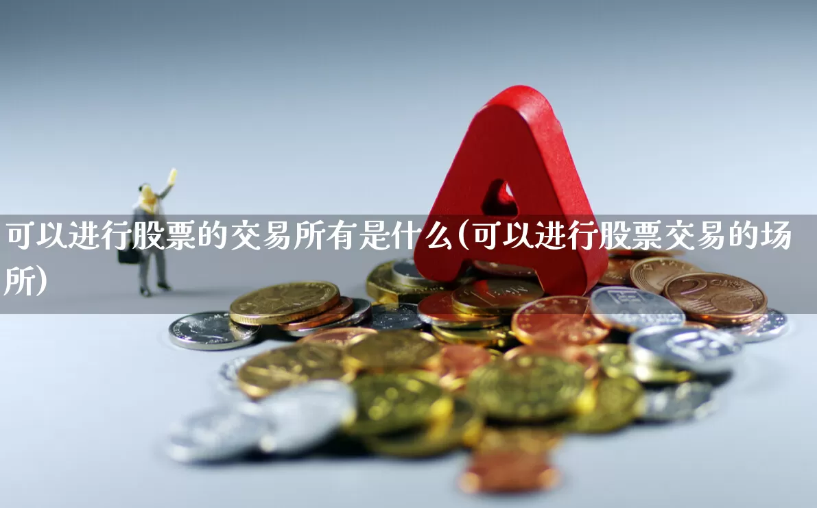 可以进行股票的交易所有是什么(可以进行股票交易的场所)_https://www.gfdzclz.com_上交所_第1张