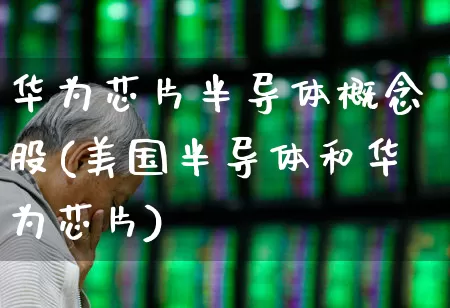 华为芯片半导体概念股(美国半导体和华为芯片)_https://www.gfdzclz.com_创业板_第1张