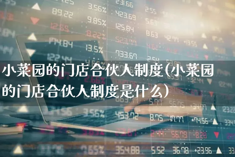 小菜园的门店合伙人制度(小菜园的门店合伙人制度是什么)_https://www.gfdzclz.com_北交所_第1张