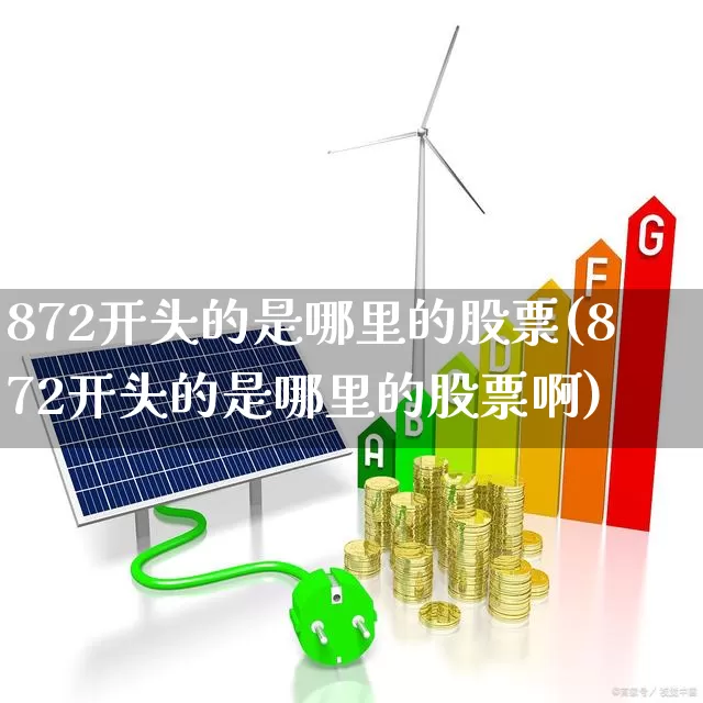 872开头的是哪里的股票(872开头的是哪里的股票啊)_https://www.gfdzclz.com_上交所_第1张