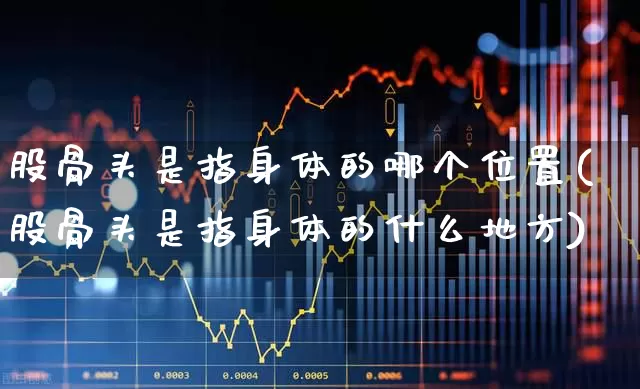 股骨头是指身体的哪个位置(股骨头是指身体的什么地方)_https://www.gfdzclz.com_科创板_第1张