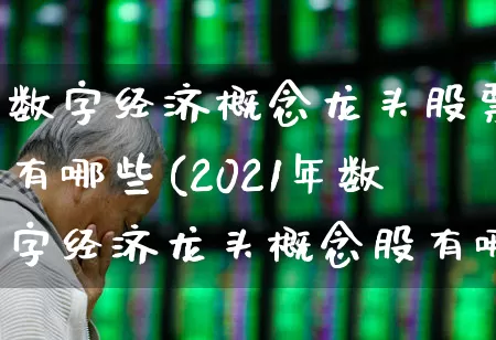 数字经济概念龙头股票有哪些(2021年数字经济龙头概念股有哪些)_https://www.gfdzclz.com_创业板_第1张