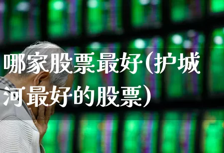 哪家股票最好(护城河最好的股票)_https://www.gfdzclz.com_上交所_第1张