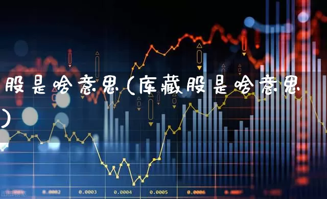 股是啥意思(库藏股是啥意思)_https://www.gfdzclz.com_科创板_第1张