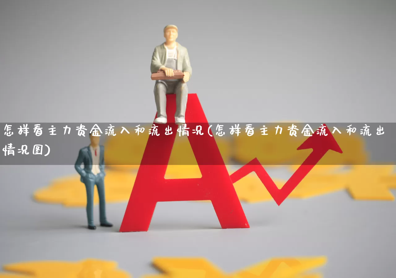 怎样看主力资金流入和流出情况(怎样看主力资金流入和流出情况图)_https://www.gfdzclz.com_深交所_第1张