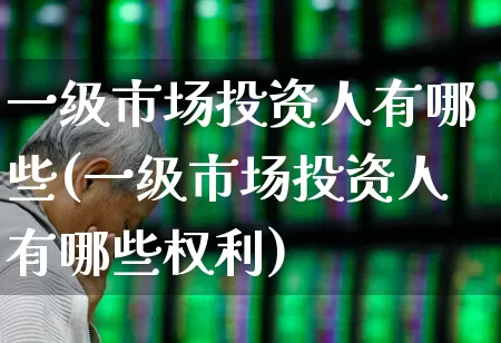 一级市场投资人有哪些(一级市场投资人有哪些权利)_https://www.gfdzclz.com_上交所_第1张