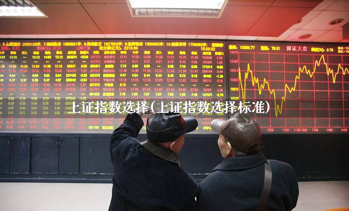上证指数选择(上证指数选择标准)_https://www.gfdzclz.com_上交所_第1张