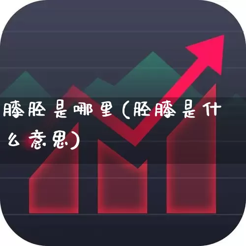 膝胫是哪里(胫膝是什么意思)_https://www.gfdzclz.com_上交所_第1张