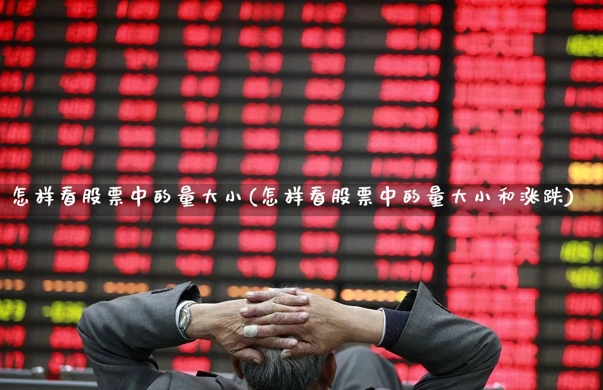 怎样看股票中的量大小(怎样看股票中的量大小和涨跌)_https://www.gfdzclz.com_上交所_第1张