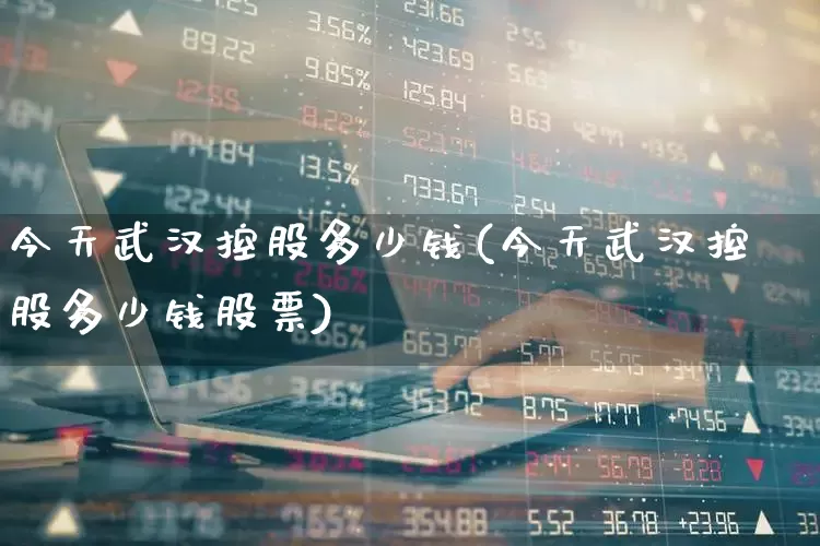 今天武汉控股多少钱(今天武汉控股多少钱股票)_https://www.gfdzclz.com_创业板_第1张
