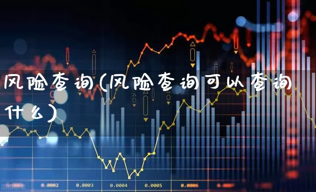 风险查询(风险查询可以查询什么)_https://www.gfdzclz.com_科创板_第1张