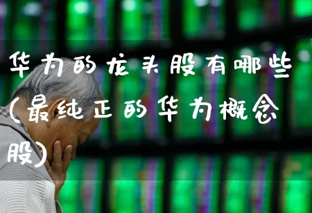 华为的龙头股有哪些(最纯正的华为概念股)_https://www.gfdzclz.com_创业板_第1张